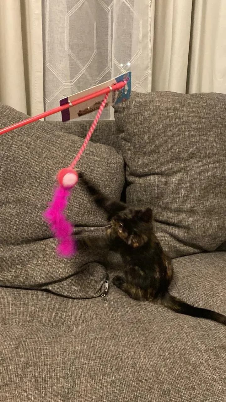 Ese fue su primer juguete de bella y ella estaba muy feliz