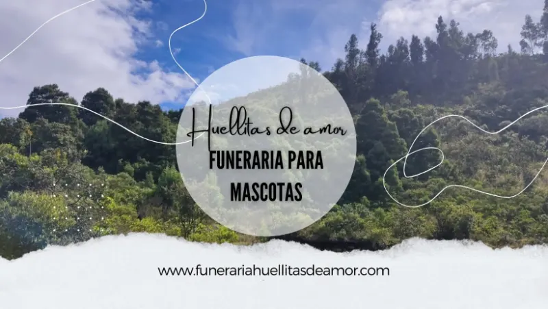 Funeraria para mascotas Huellitas de amor